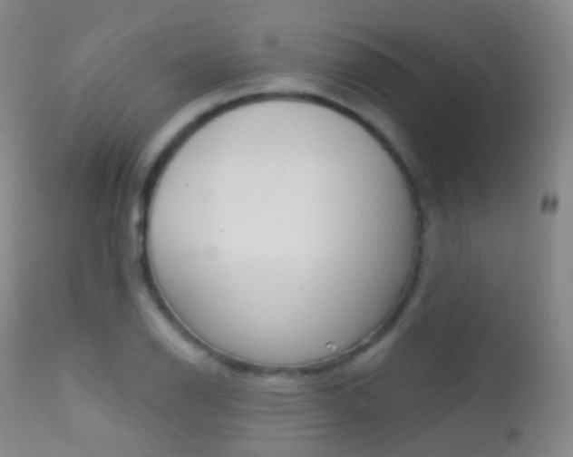 X0000113201126200909100916