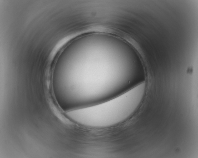 X0000113201128200909100916
