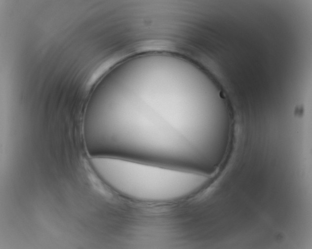 X0000113201129200909100916
