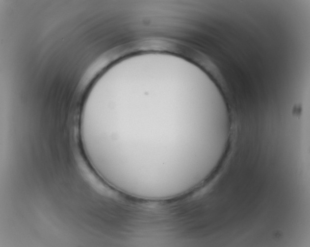 X0000113201130200909100916