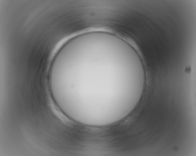 X0000113201132200909100916