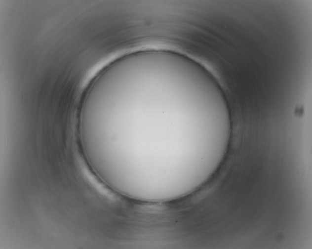 X0000113201134200909100916
