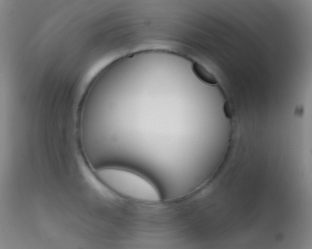 X0000113201135200909100916