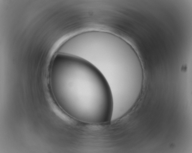 X0000113201136200909100916