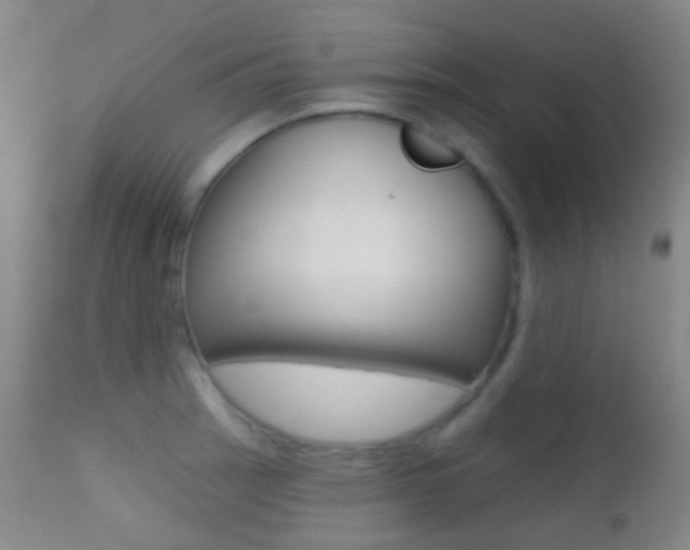 X0000113201137200909100916