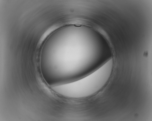 X0000113201138200909100916