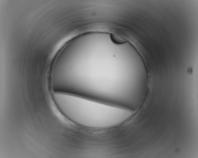 X0000113201139200909100916