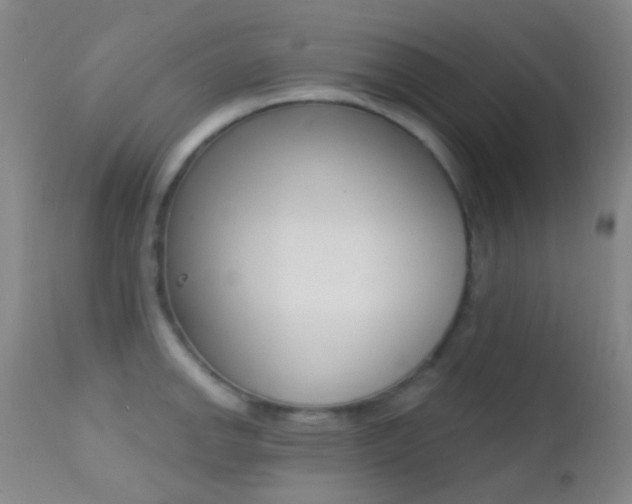 X0000113201142200909100916
