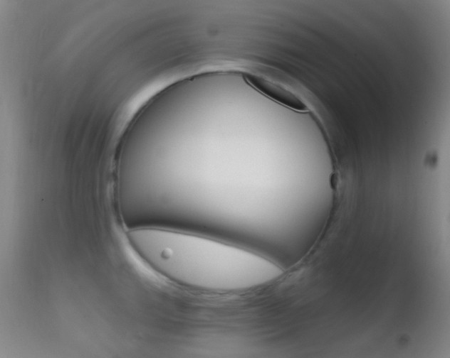 X0000113201143200909100916
