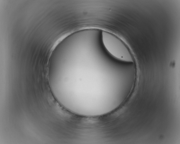 X0000113201145200909100916