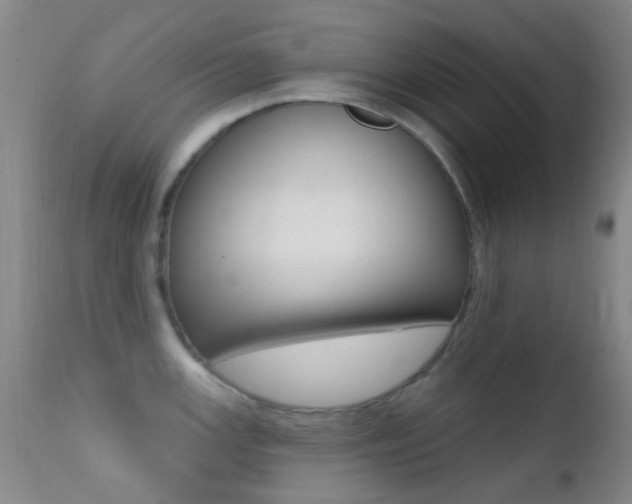 X0000113201147200909100916