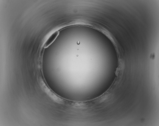 X0000113201148200909100916