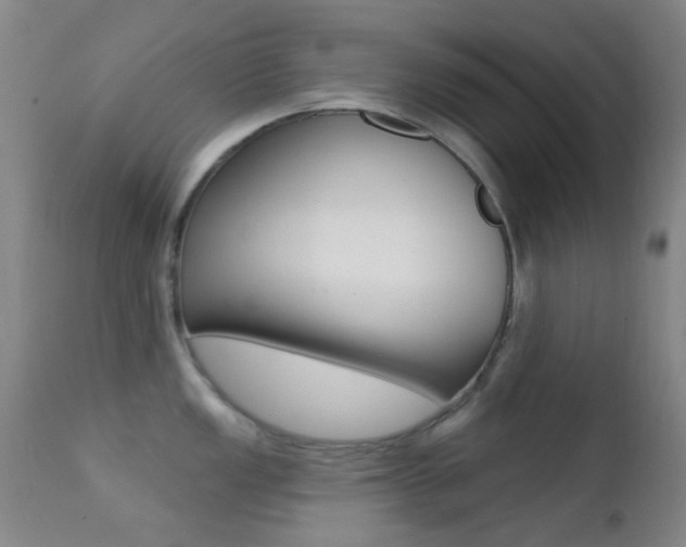 X0000113201149200909100916