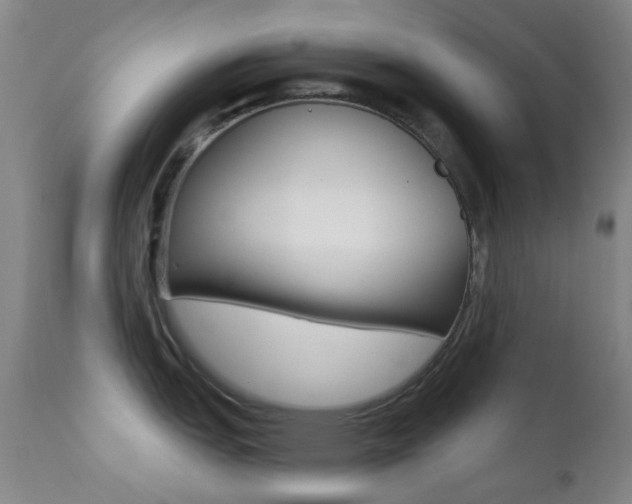 X0000113201151200909100916