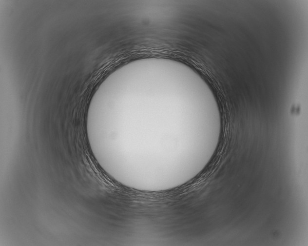 X0000113201153200909100915