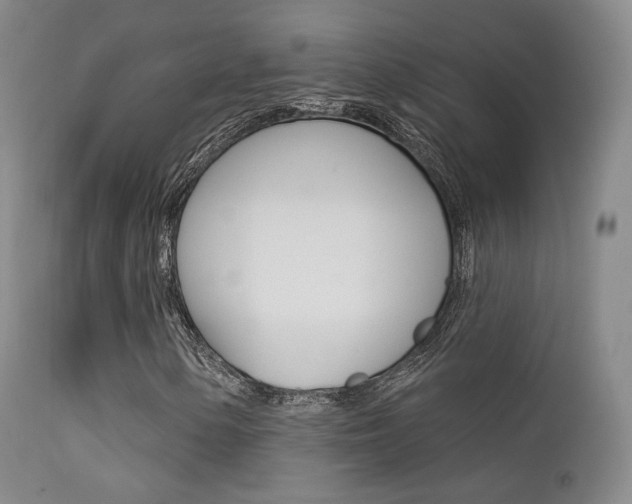 X0000113201154200909100915