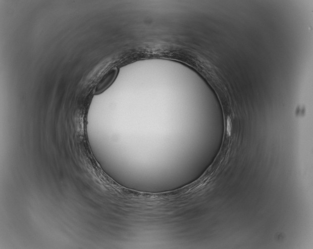 X0000113201155200909100915