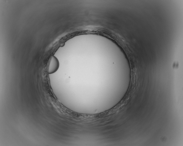 X0000113201158200909100915