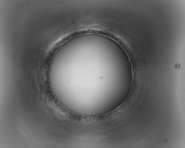 X0000113201159200909100915