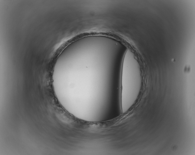 X0000113201160200909100915