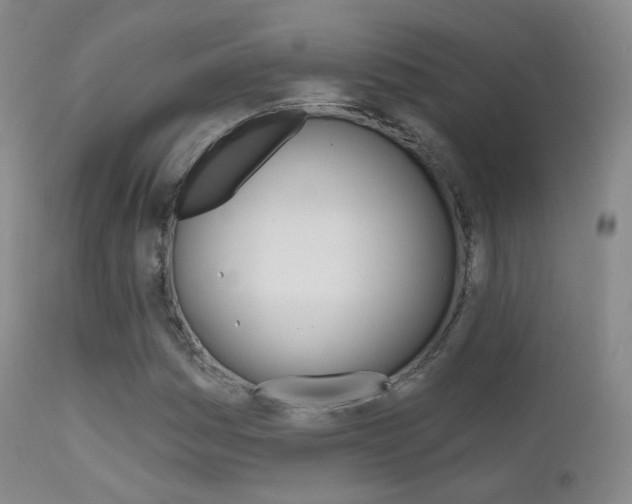 X0000113201161200909100915