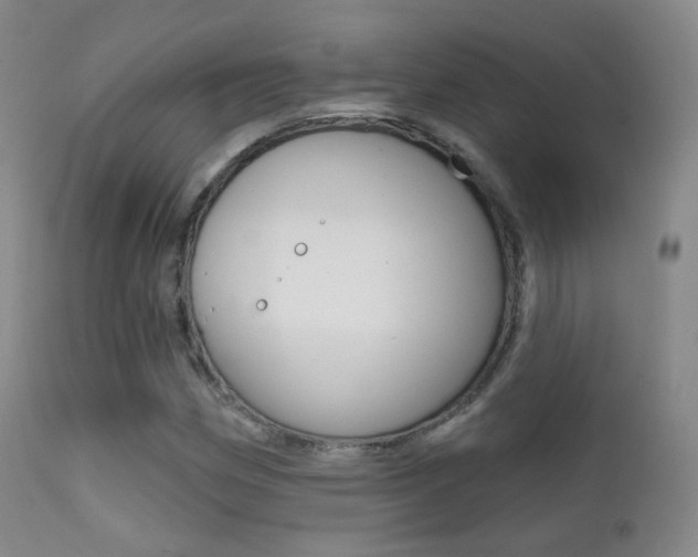 X0000113201162200909100915