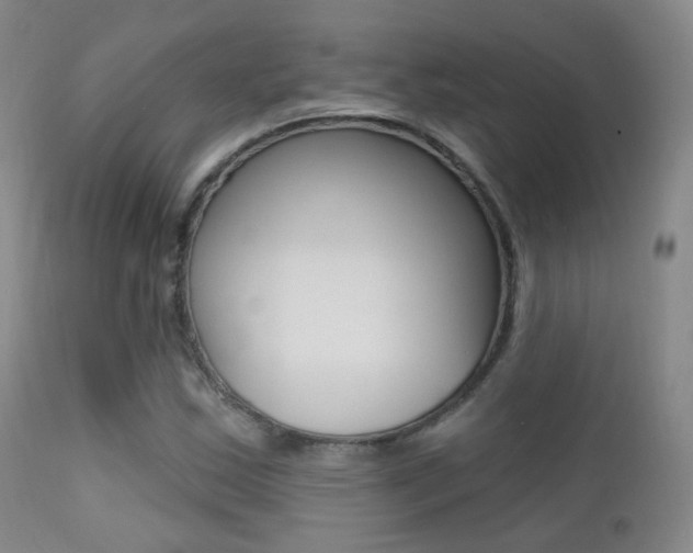 X0000113201163200909100915