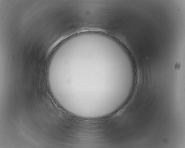 X0000113201165200909100915