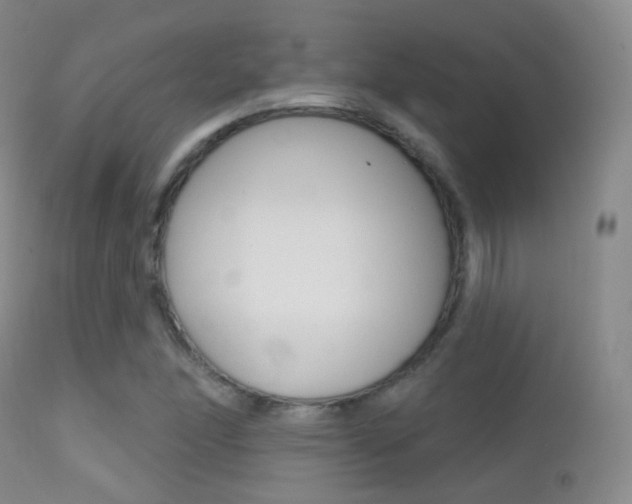 X0000113201166200909100915