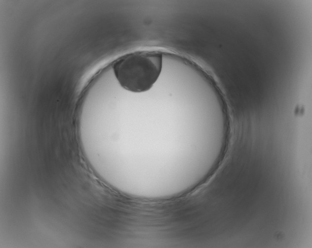 X0000113201167200909100915