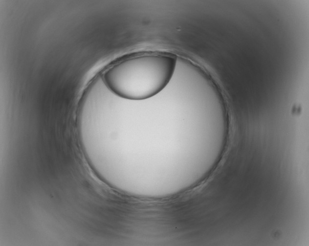 X0000113201168200909100915
