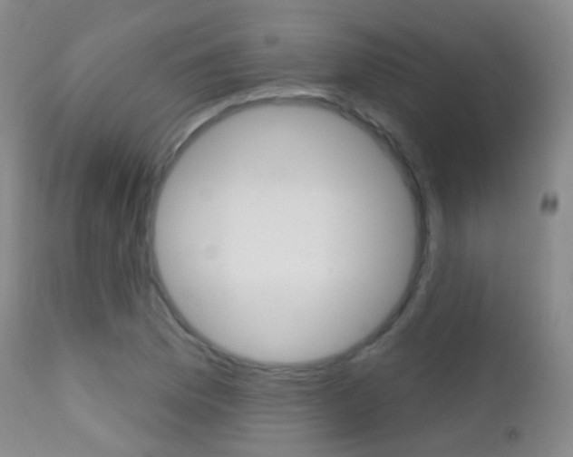 X0000113201169200909100915