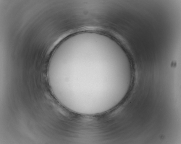 X0000113201170200909100915