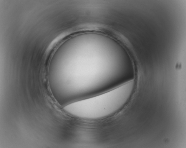 X0000113201172200909100915