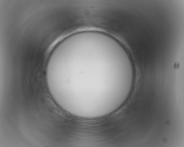X0000113201173200909100915