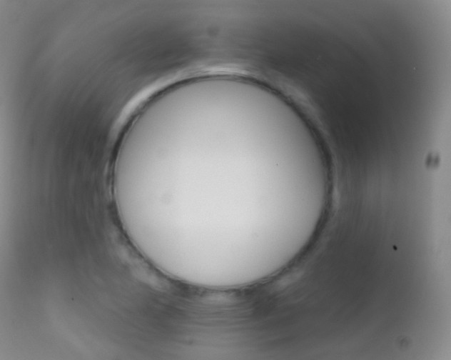 X0000113201174200909100915