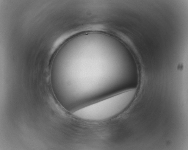 X0000113201176200909100915