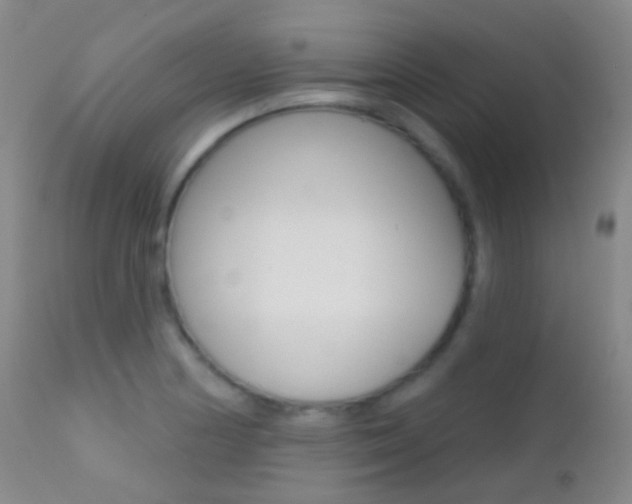 X0000113201178200909100915