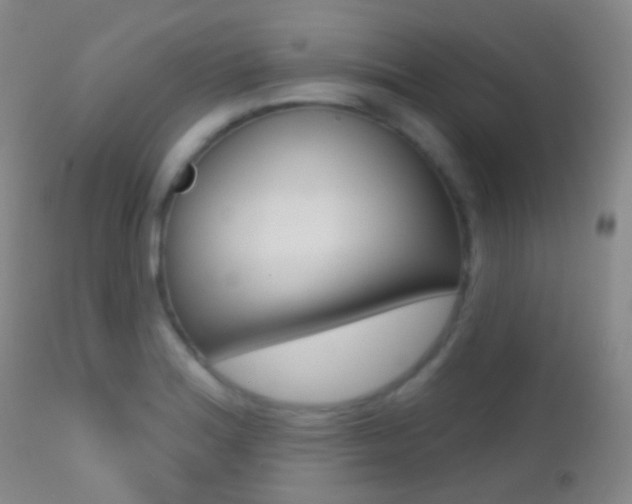 X0000113201180200909100915