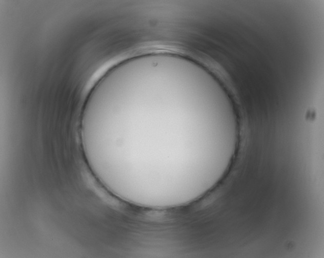 X0000113201182200909100915