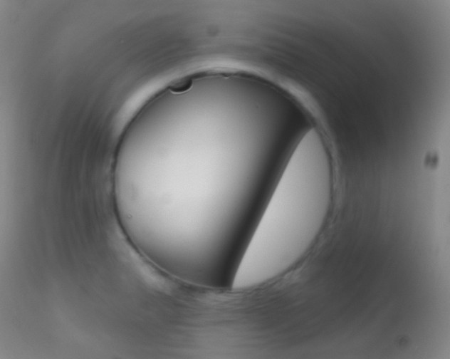 X0000113201183200909100915