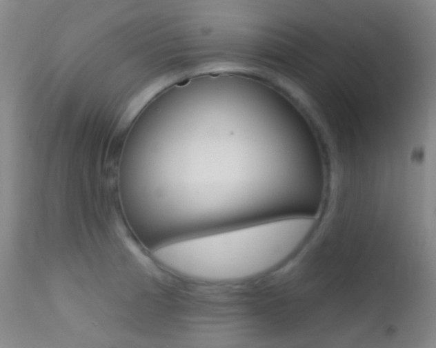 X0000113201185200909100915