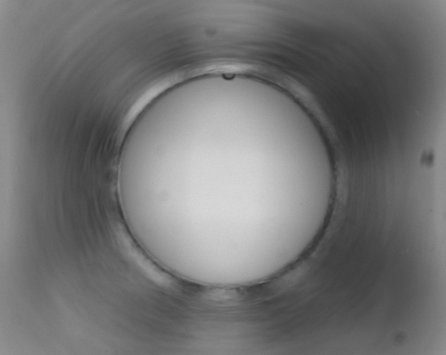 X0000113201186200909100915