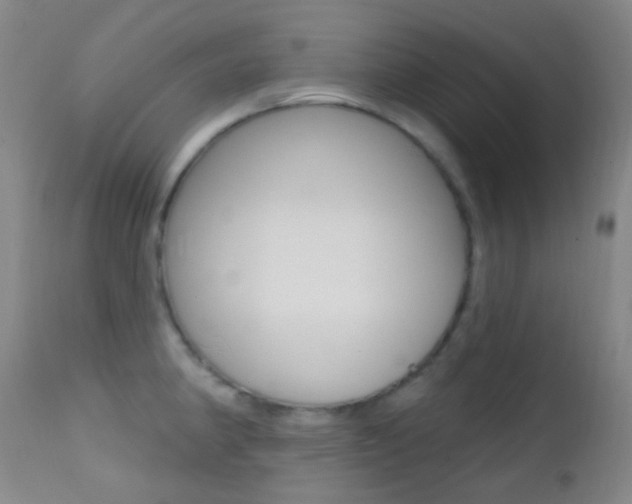 X0000113201190200909100915
