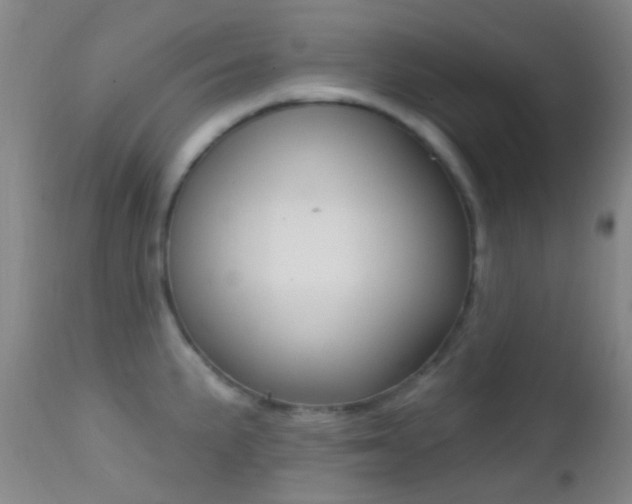 X0000113201191200909100915