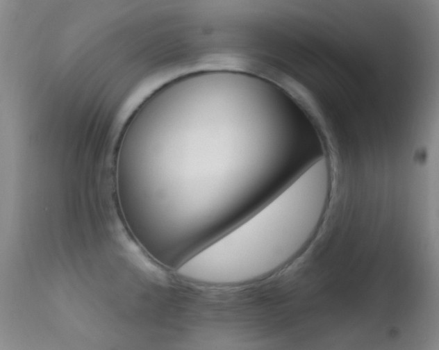 X0000113201192200909100915