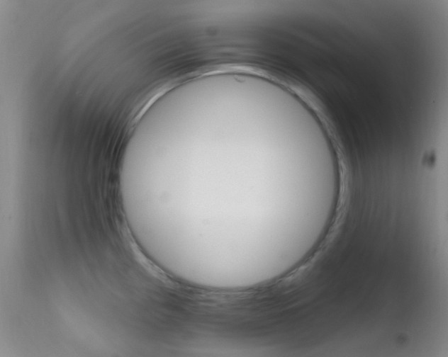 X0000113201193200909100915