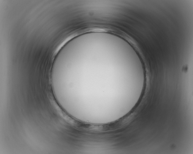 X0000113201194200909100915