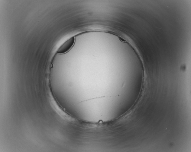 X0000113201195200909100915