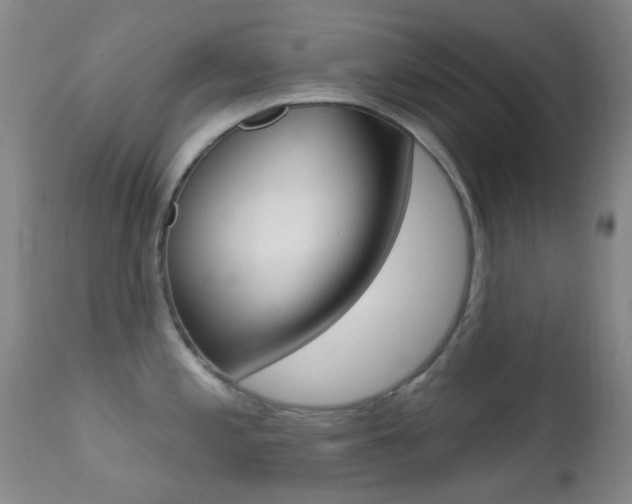 X0000113201197200909100915